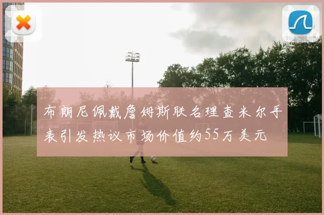 布朗尼佩戴詹姆斯联名理查米尔手表引发热议市场价值约55万美元